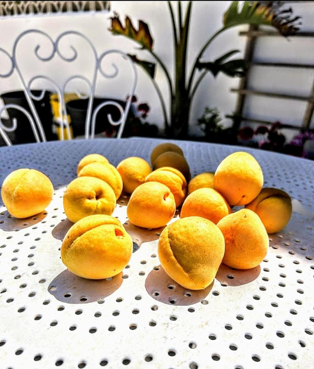 Apartamento Casa Dei Frutti Di Ostuni Exterior foto